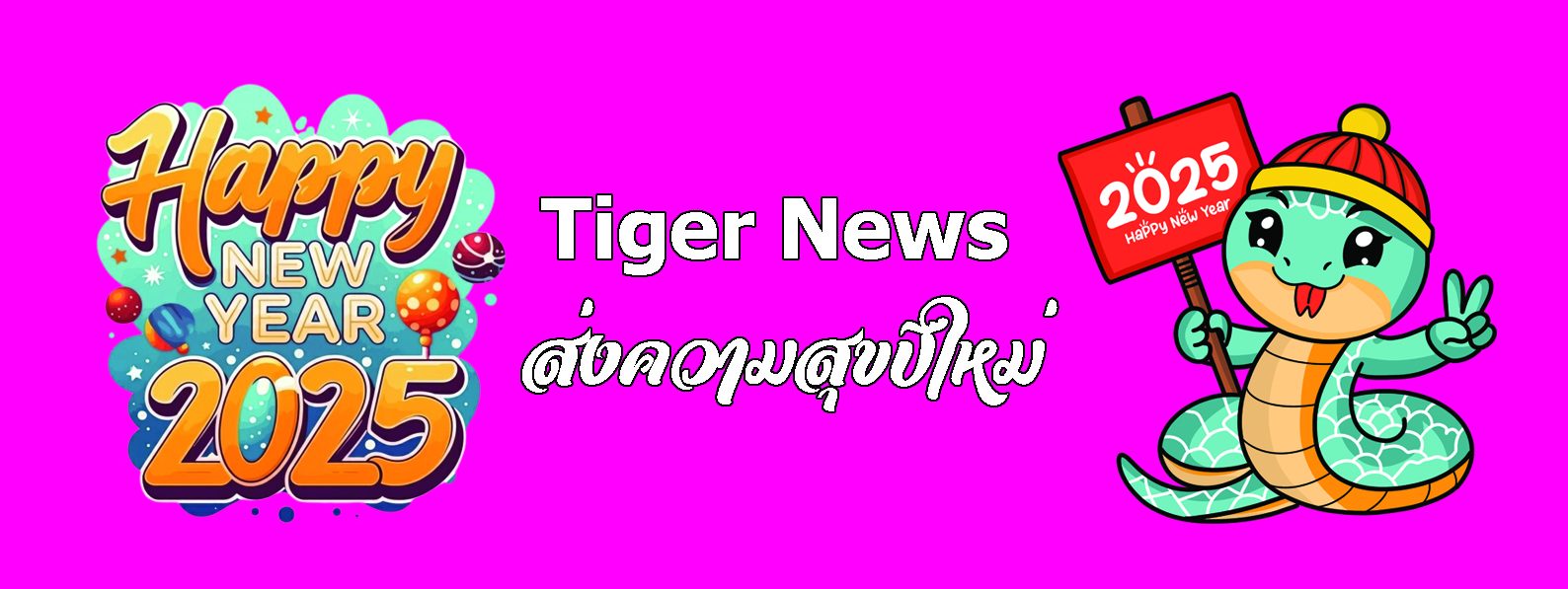 TIGERNEWS TV